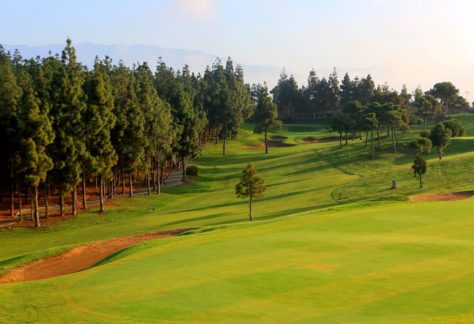 Chaparral Golf Club (11)