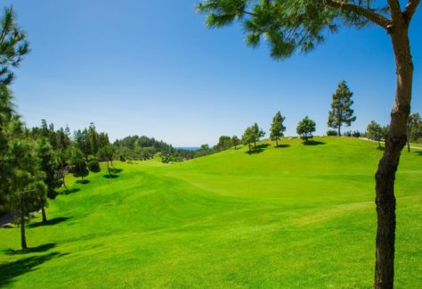Chaparral Golf Club (14)