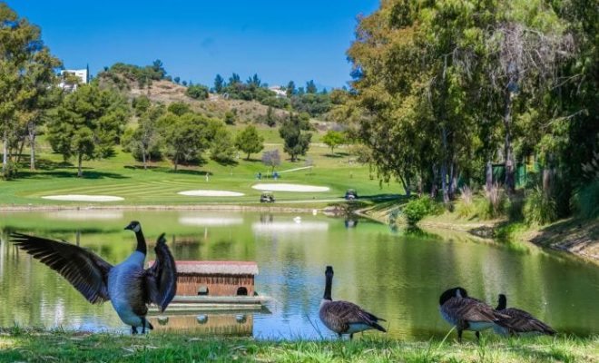 Atalaya Golf New