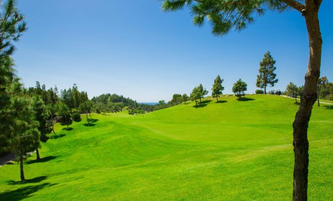 Chaparral Golf Club (14)