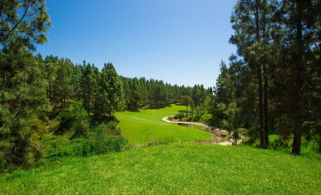 Chaparral Golf Club (15)