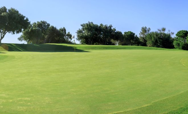 La Cañada Golf (1)