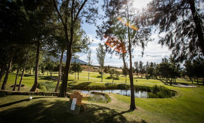 Lauro Golf (7)
