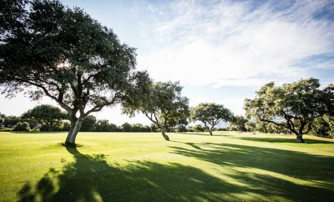 Lauro Golf (9)