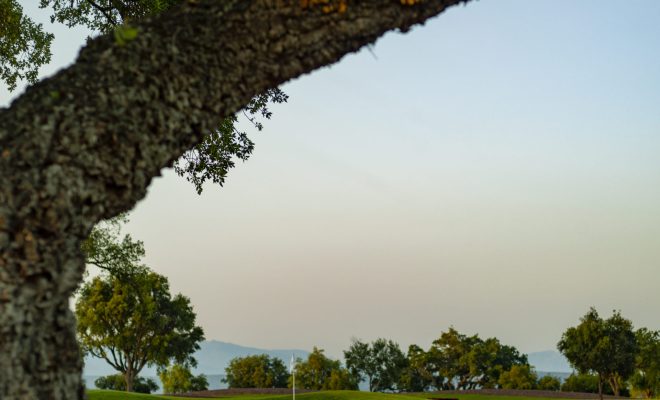 Old Course - Official Picture June 2021 (6)