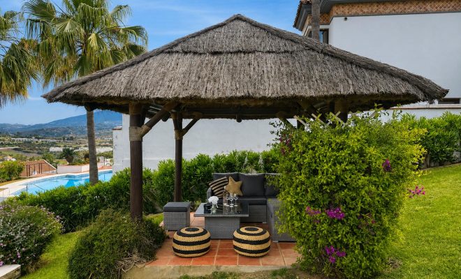 Patio garden - Copy