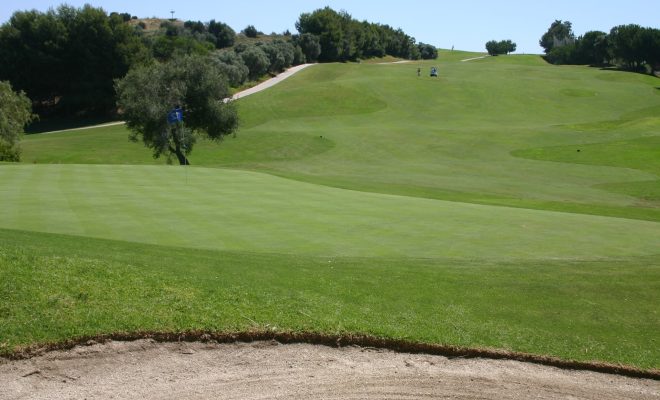 Santa Clara Golf (2)
