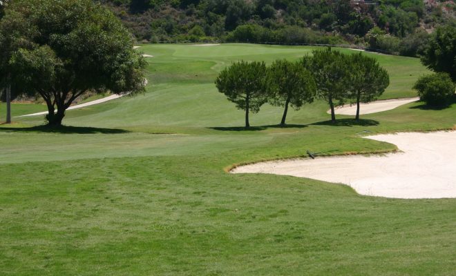 Santa Clara Golf (3)