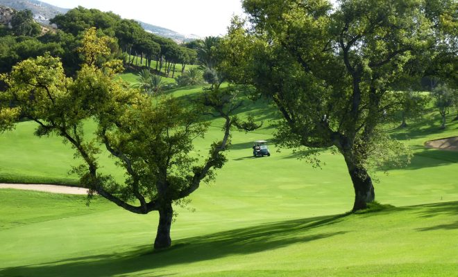 Torrequebrada Golf (4)