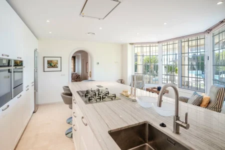 villa-palmera-elviria22